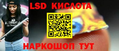 крисы Абакан