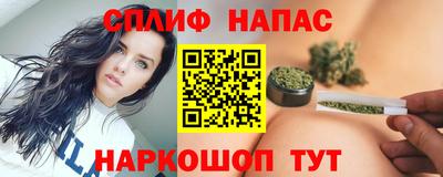 крисы Абакан