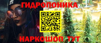 крисы Абакан