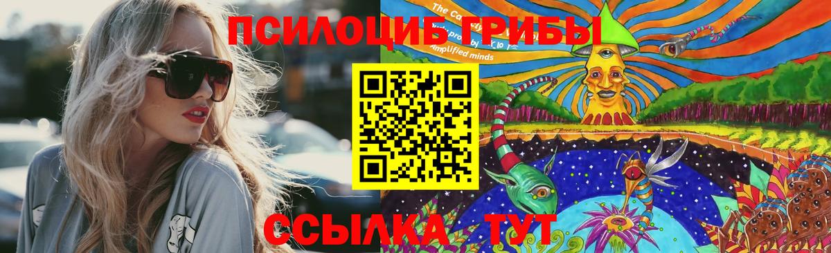 Алушта  Псилоцибиновые грибы прущие грибы  Вход с VPN 